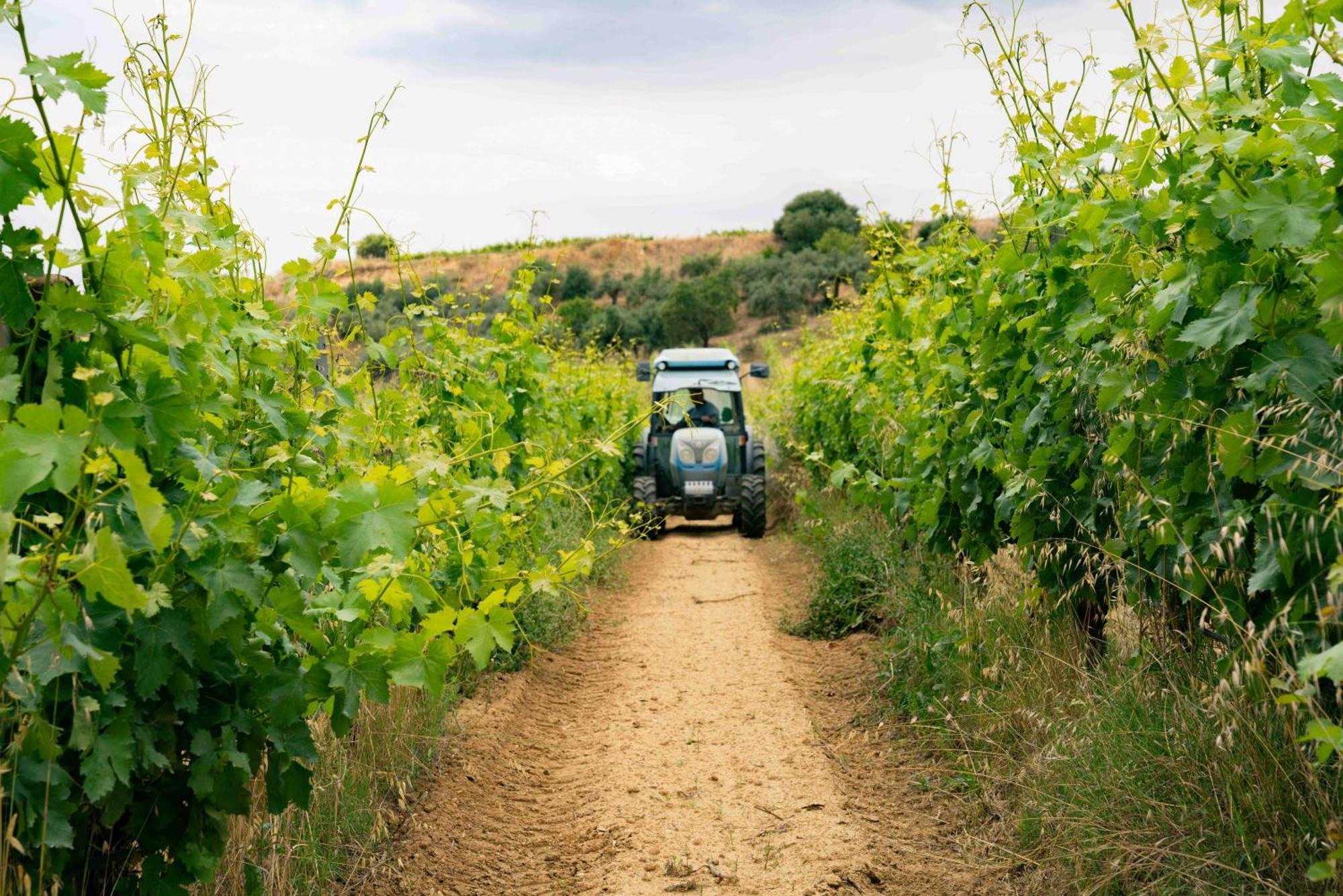 Judeka Agriresort Caltagirone Eksteriør billede